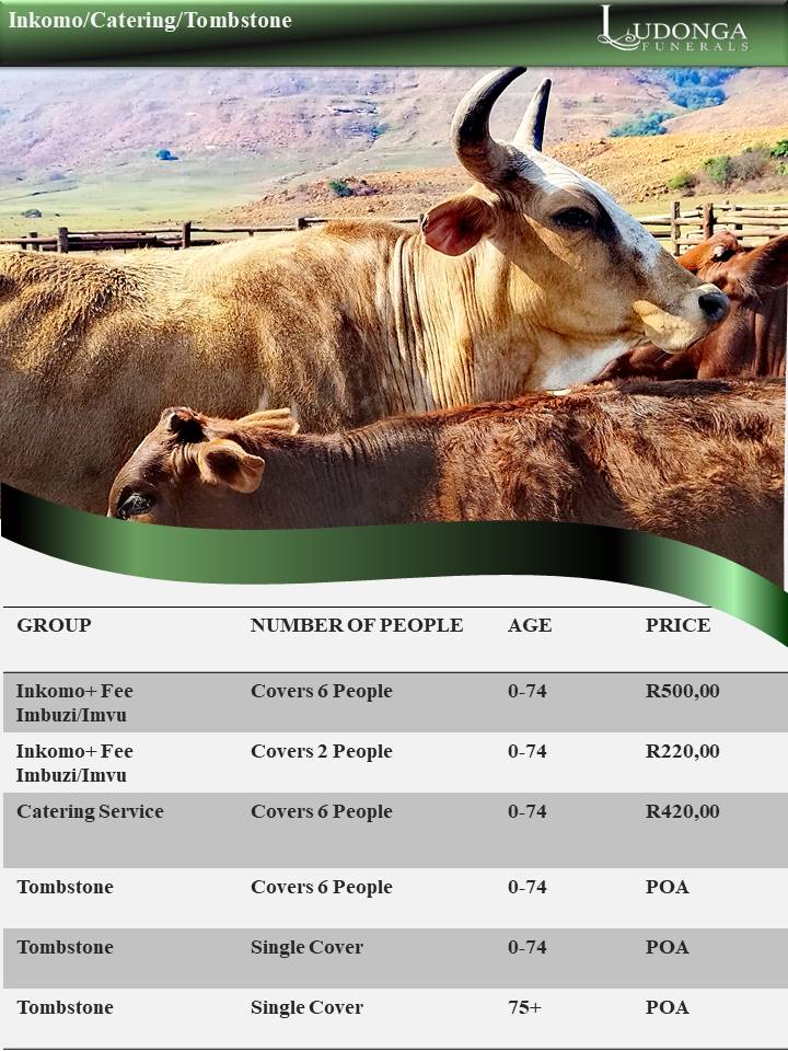 Brochure July 2025 Single Inkomo